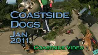 iPhone music video Link: Coastside Dogs Jan 2011