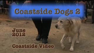 Coastside Dogs 2 video link