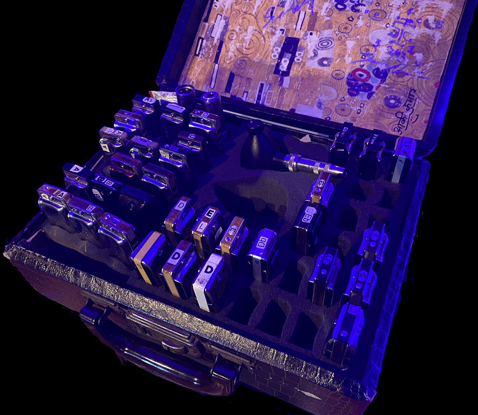 Bondog harmonica case